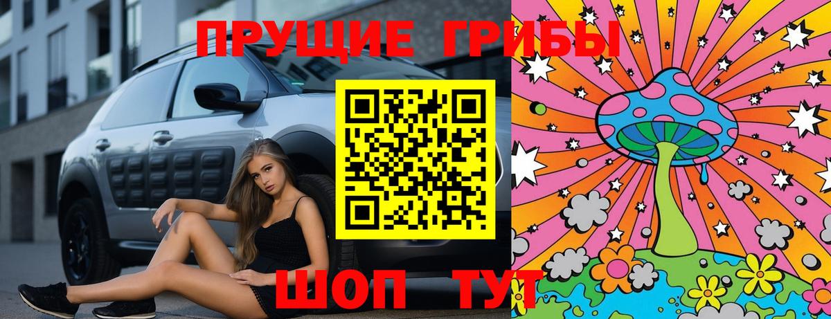 Псилоцибиновые грибы мицелий Котельники