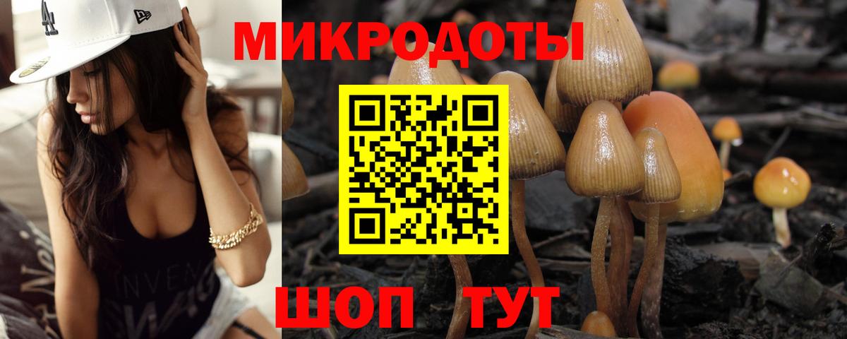 Котельники  Псилоцибиновые грибы мухоморы  Вход с VPN 