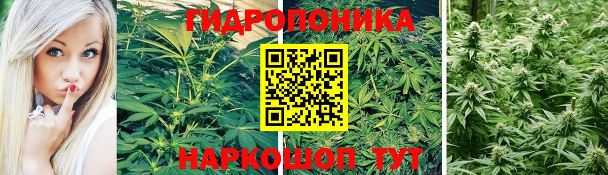 Канабис гибрид Котельники
